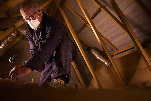 Best Cellulose Insulation in Phillips, WI
